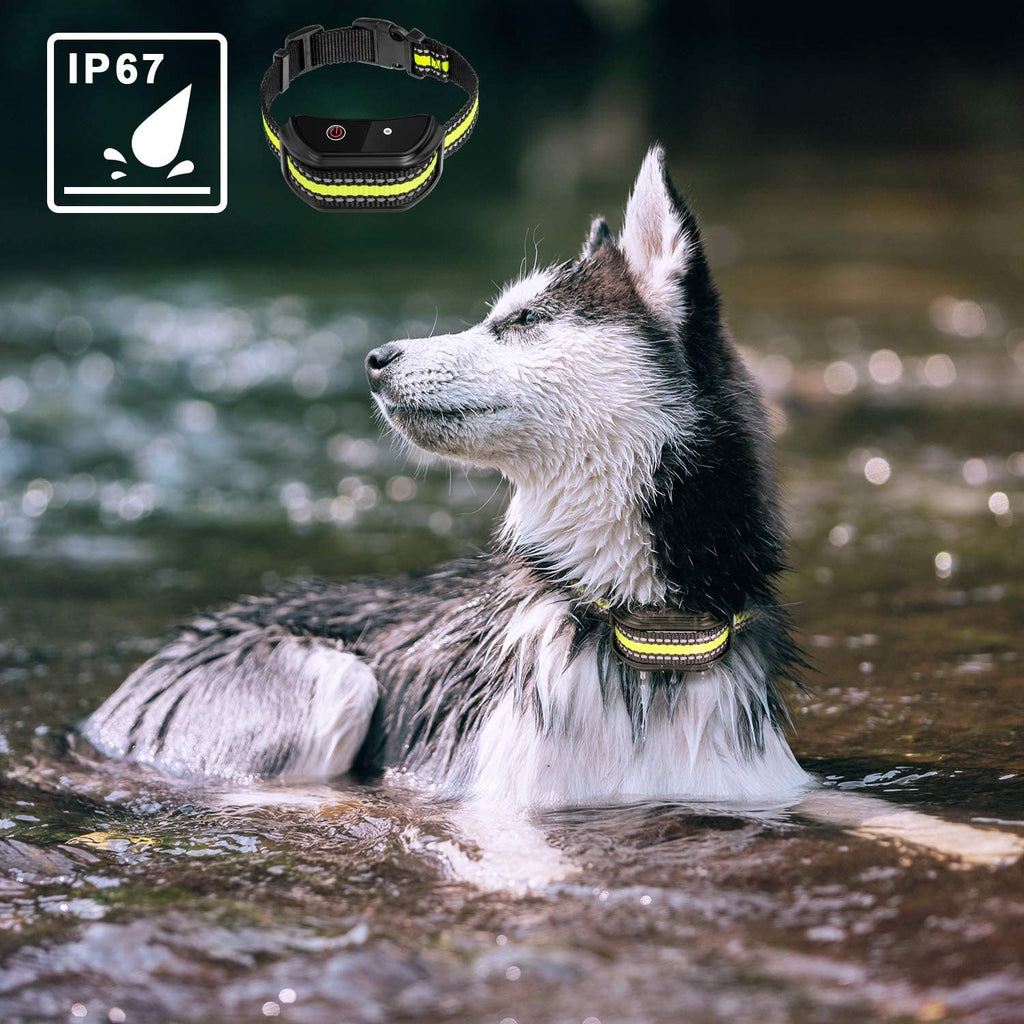 Training  Collars To Prevent Barking