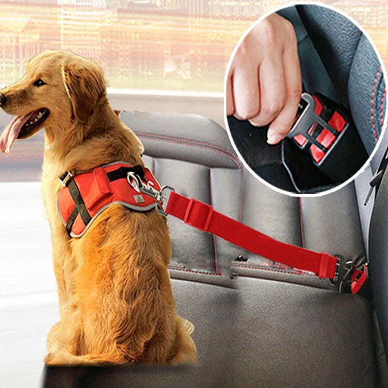 Adjustable Cat and Dog collar-Car Seat Belt
