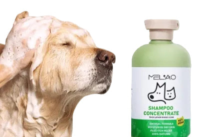 Hair Care Gentle Pet Oat Bath Shampoo